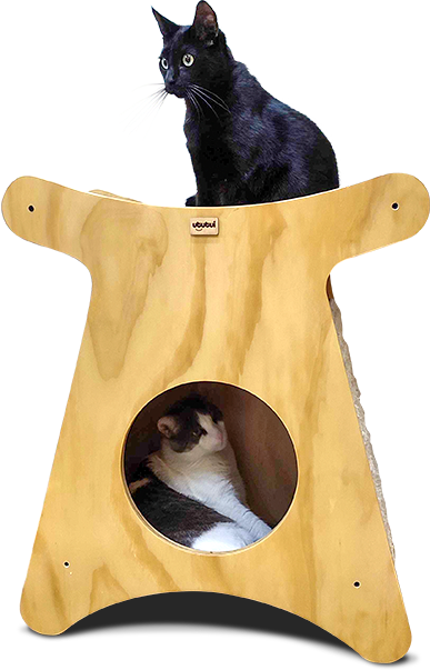 Iglú