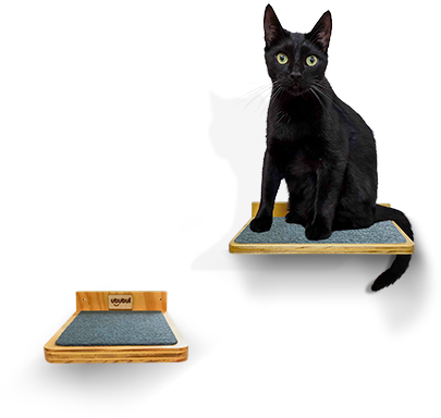 Repisa para gatos