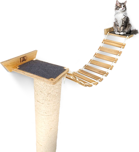 Gato sobre el puente flotante