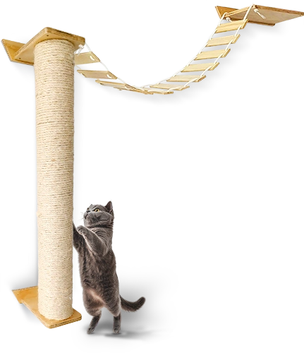 Paquete del puente con accesorios