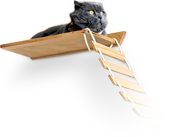 Materiales de madera de pino y cuerda