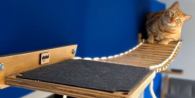 Puente-flotante-Paso-5-1